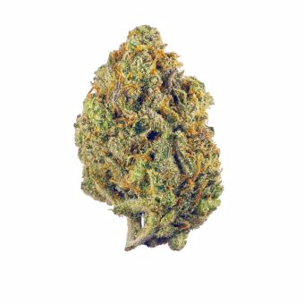 Lemon Shining Silver Haze
